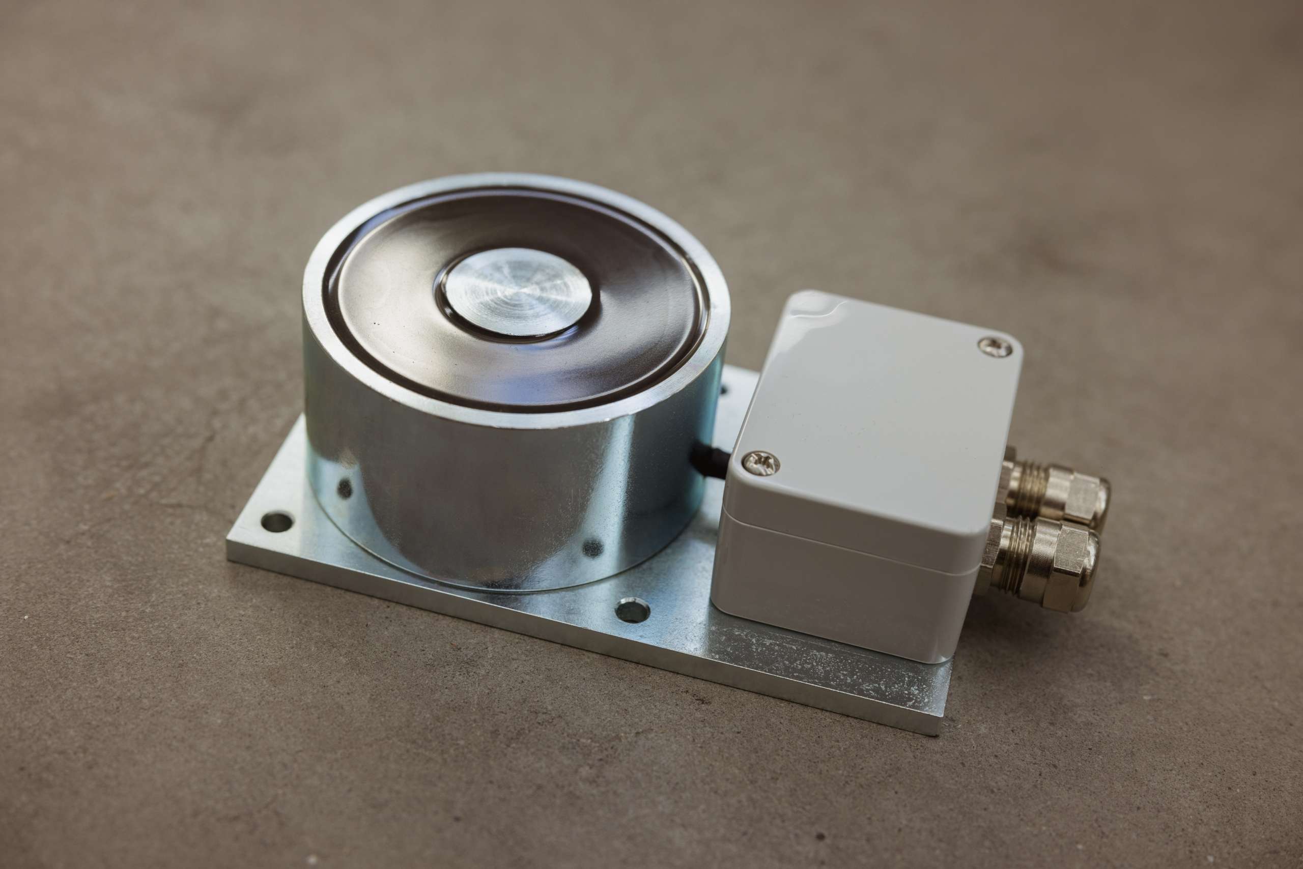 203 - 2024_10_22_Kuhse-226